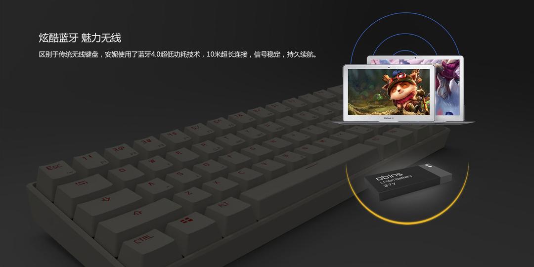 ANNE PRO