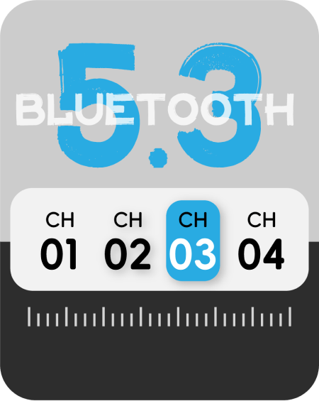 W800 Bluetooth BLE 5.3
